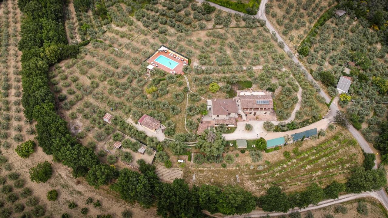 Agriturismo La Rocca Assisi Petrignano Exterior foto